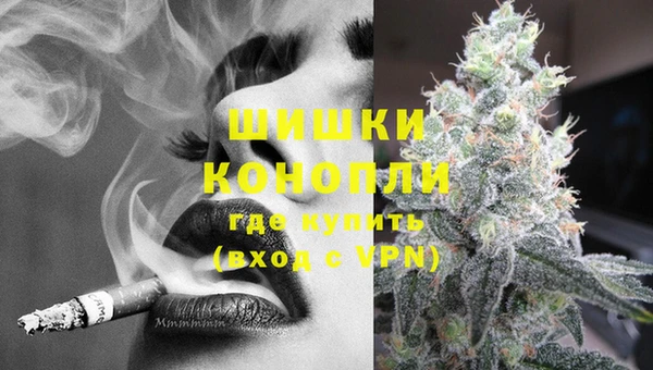 PSILOCYBIN Балахна