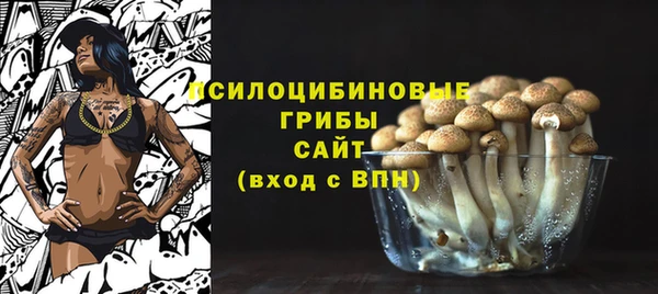 МДМА Протвино