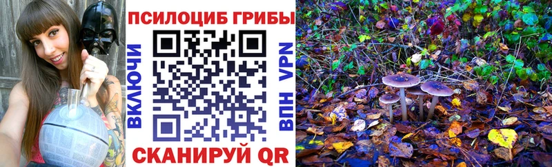 KRAKEN вход  продажа наркотиков  Староминская  Псилоцибиновые грибы MAGIC MUSHROOMS 